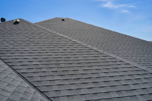 Best Roof Moss and Algae Removal  in Celina, TN